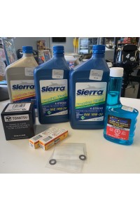 Tohatsu 15/20 EFI 4-Stroke Service Pack